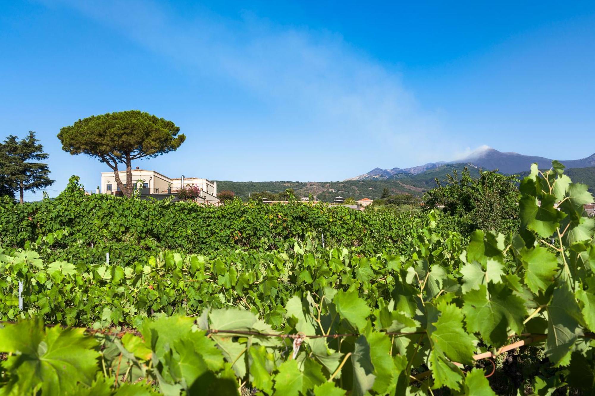 Locanda Quinto Arco Zafferana Etnea Exteriör bild