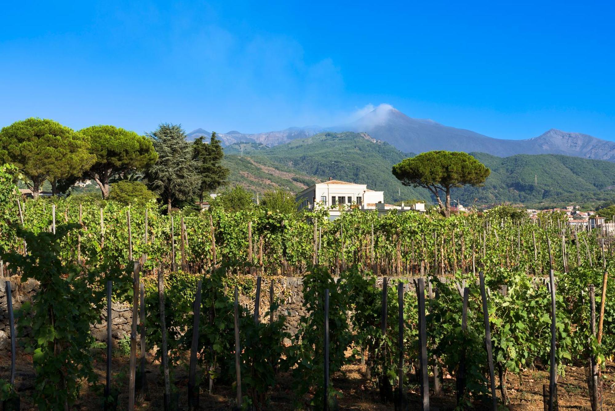 Locanda Quinto Arco Zafferana Etnea Exteriör bild